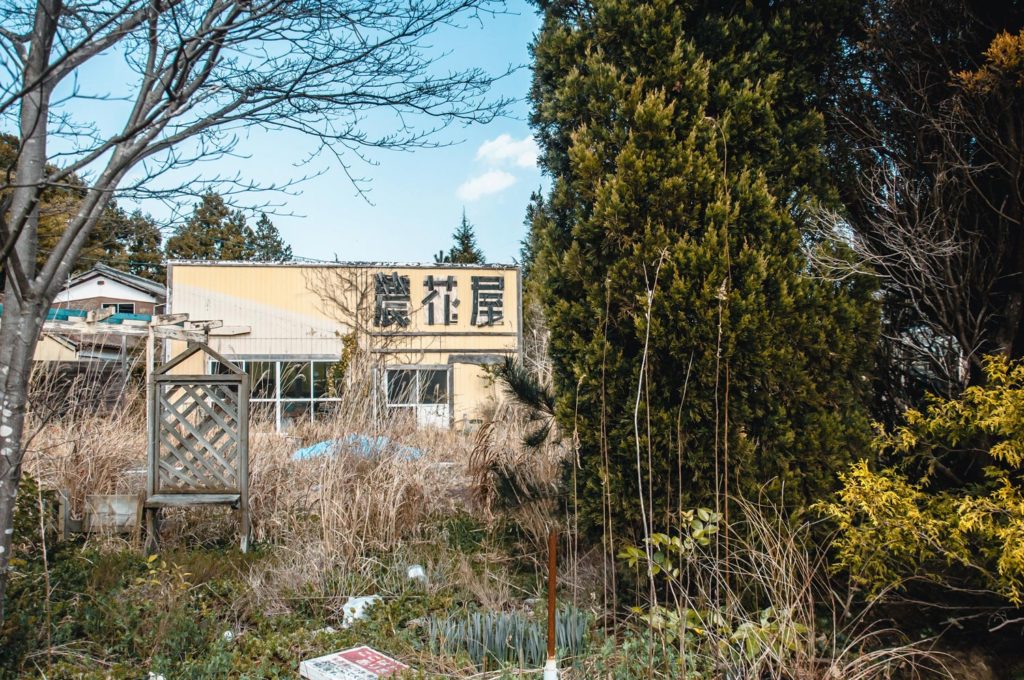 Abandoned Structure In Fukushima With Trees Grown